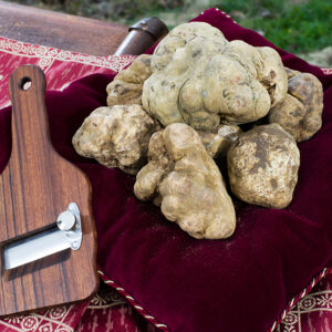 Tartufo Bianco Pregiato