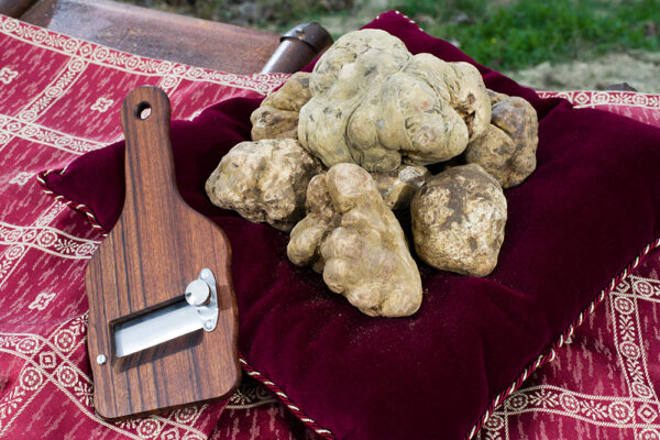 Tartufo Bianco Pregiato