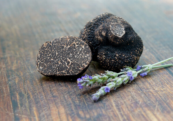 Tartufo Nero Pregiato