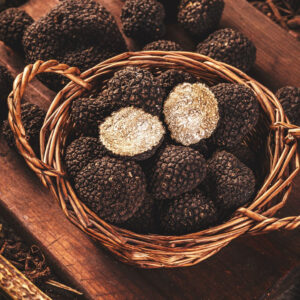 Tartufo Nero Uncinato